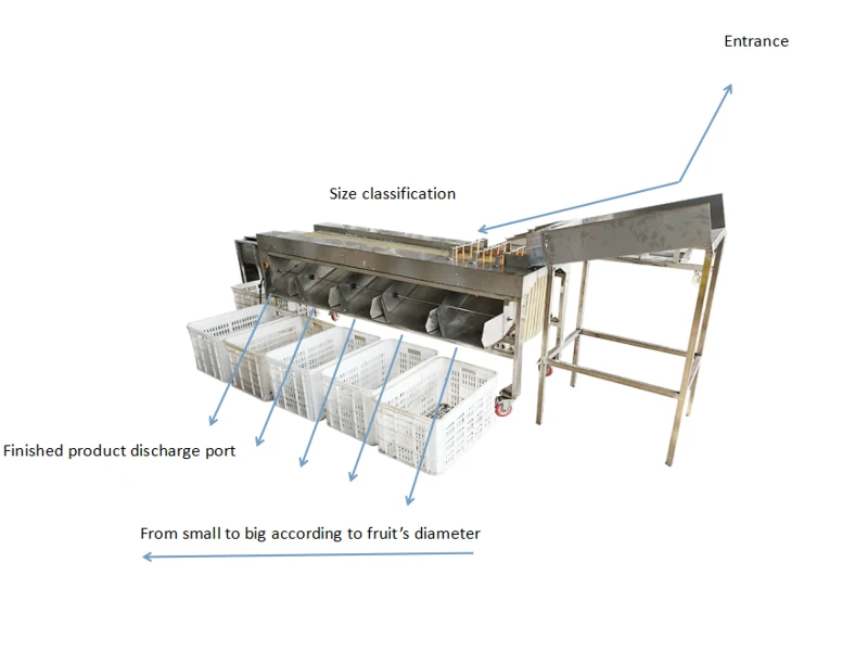 mango grading machine mango grading machine