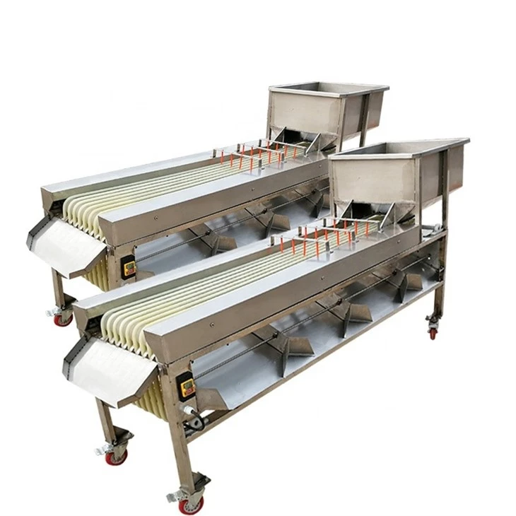 Mango Grading Machine