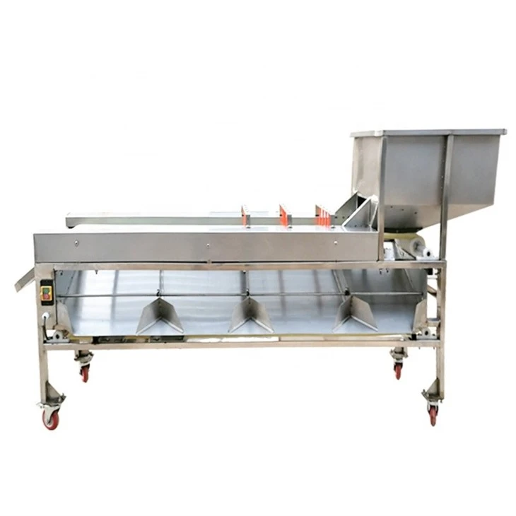 Mango Grading Machine